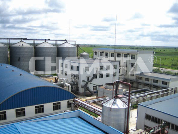 山东蓝山集团800吨大豆低温粕工程